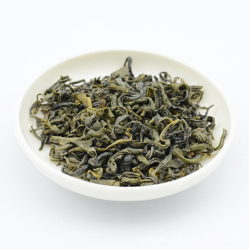 Grüner Tee-Op-T